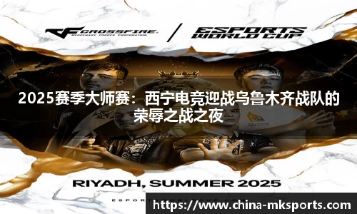 2025赛季大师赛：西宁电竞迎战乌鲁木齐战队的荣辱之战之夜
